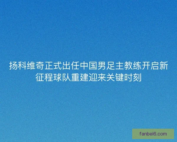 扬科维奇正式出任中国男足主教练开启新征程球队重建迎来关键时刻 扬科维奇正式出任中国男足主教练开启新征程球队重建迎来关键时刻